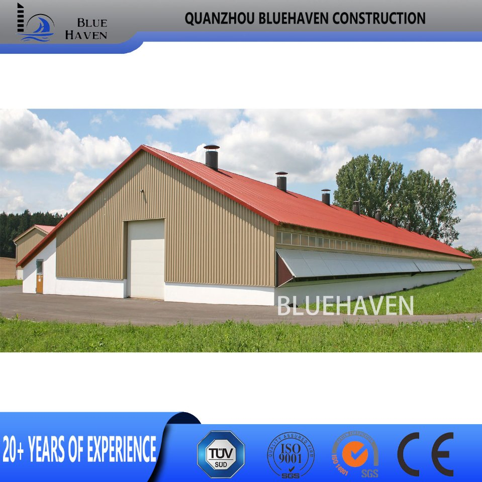 Steel Structure Frame Building Farm Cow Shed Chicken House Coop Poultry Farm