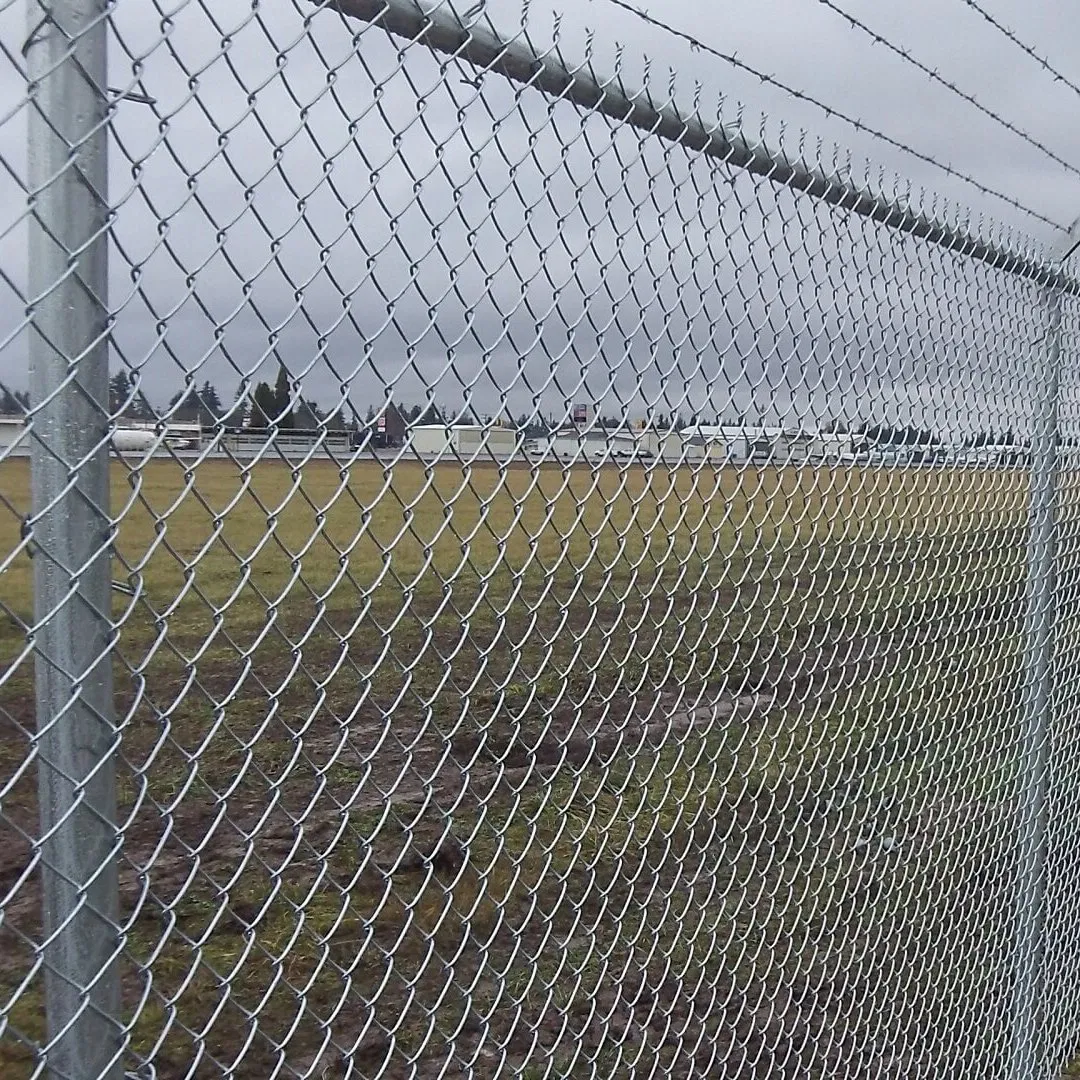 Diamond Wire Mesh Chicken Fence PVC Black Coated Galvanized Chain Link Fence