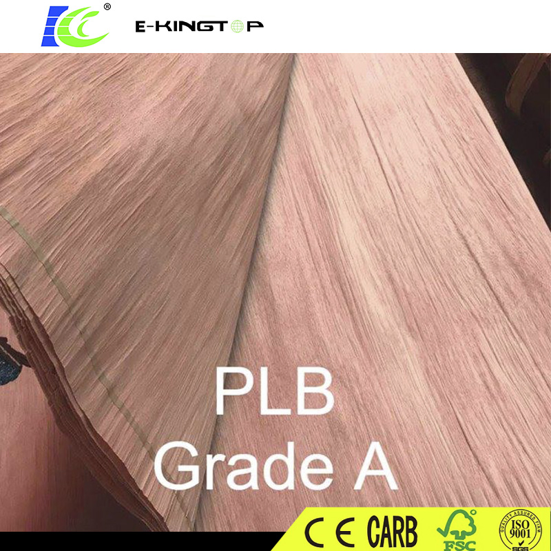 Direct Sales Natural Wood Rotary Cutting Veneer Plb Veneer for India