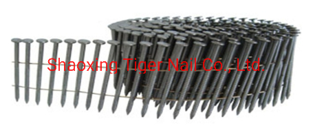 Coil Nail2.5 (6.2) for Stapler