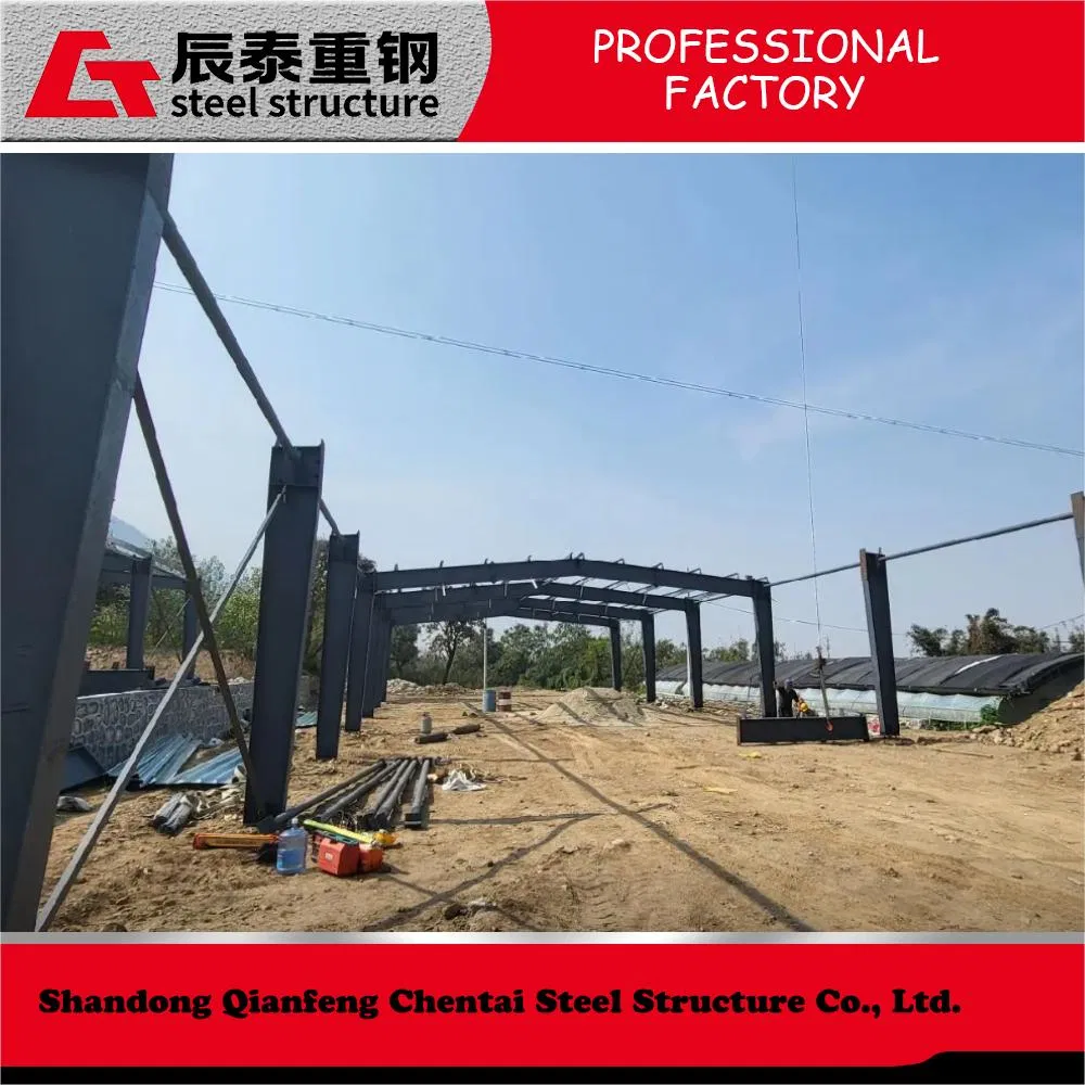 China Factory Manufacturer Prefabricated Galvanized Steel Structure Poultry Farm