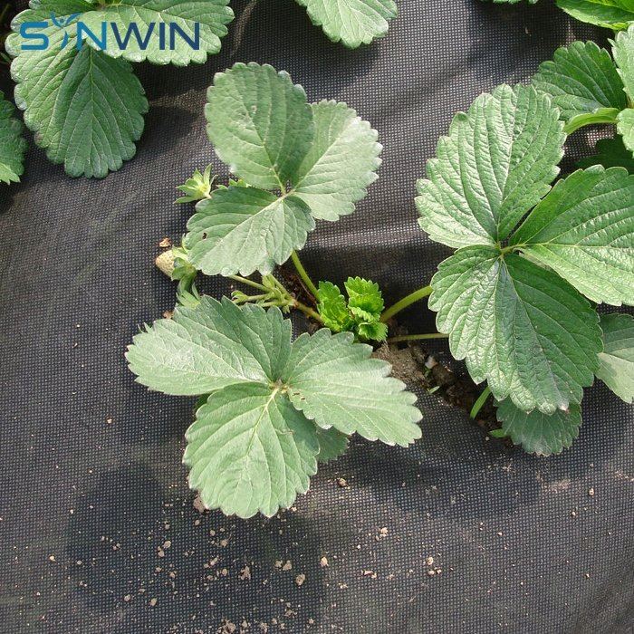 Agriculture Anti UV PP Non Woven Landscape Weed Control Mat Fabric