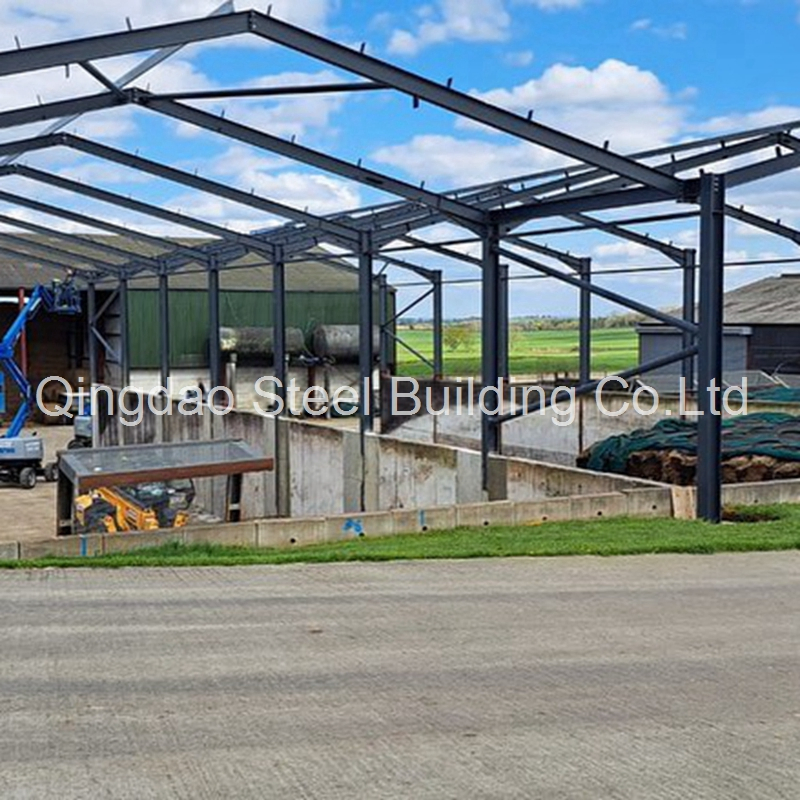 Hot DIP Galvanized Prefabricated Steel Structure Frame Warehouse Workshop Shed Hangar Building