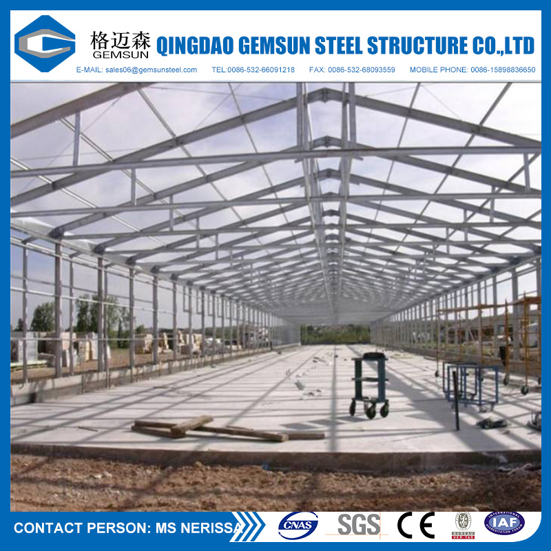 Steel Structure Poultry Farm Shed Chicken Layers House