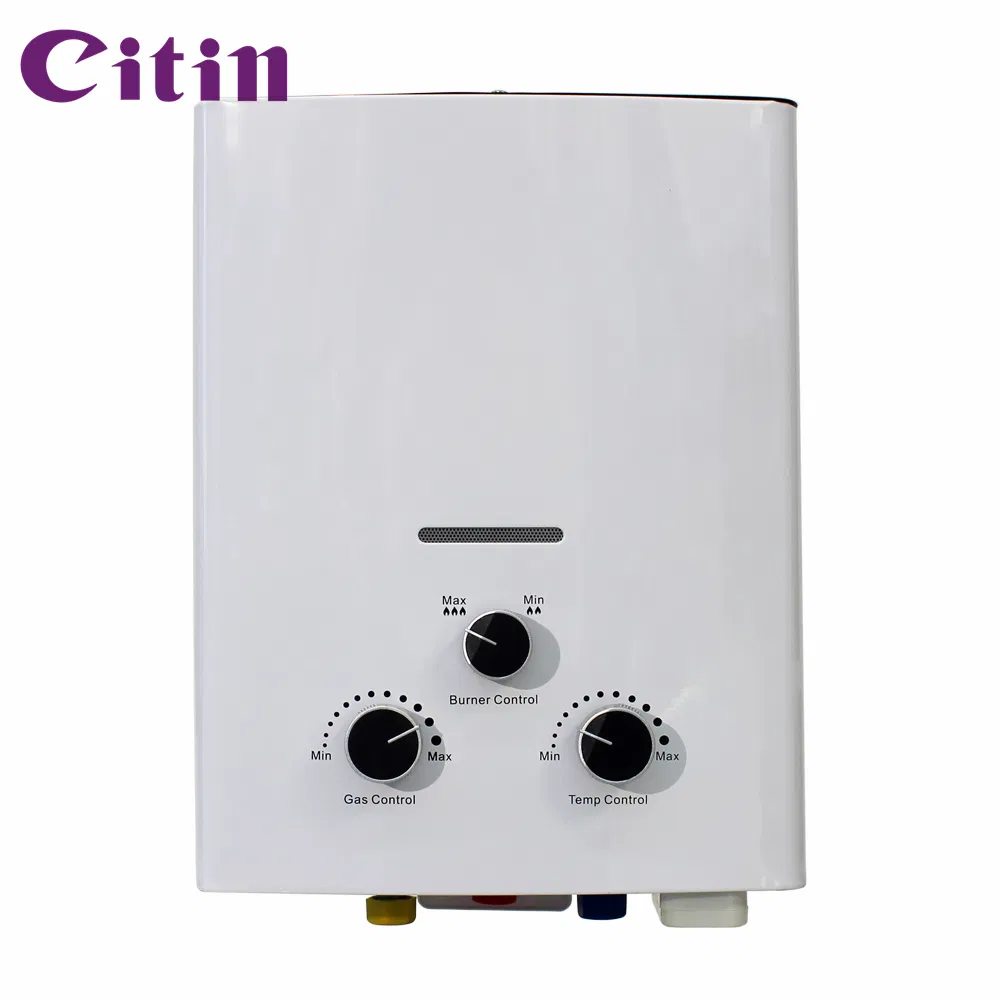 Outdoor Instant Professional Safe Flue Type Gas Hot Water Heater
