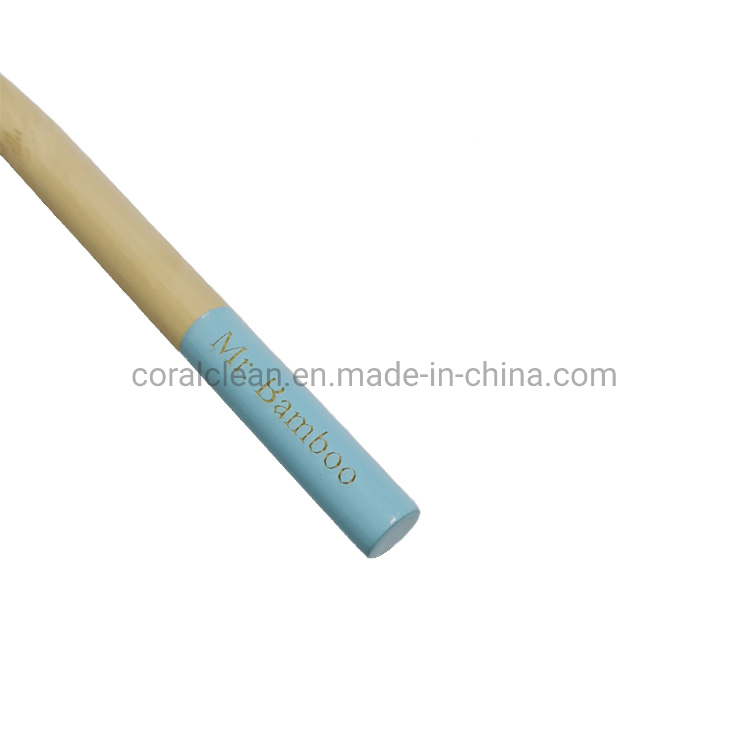 Mr. Bamboo Biodegradable Bambu Toothbrush for Home Hotel Travel