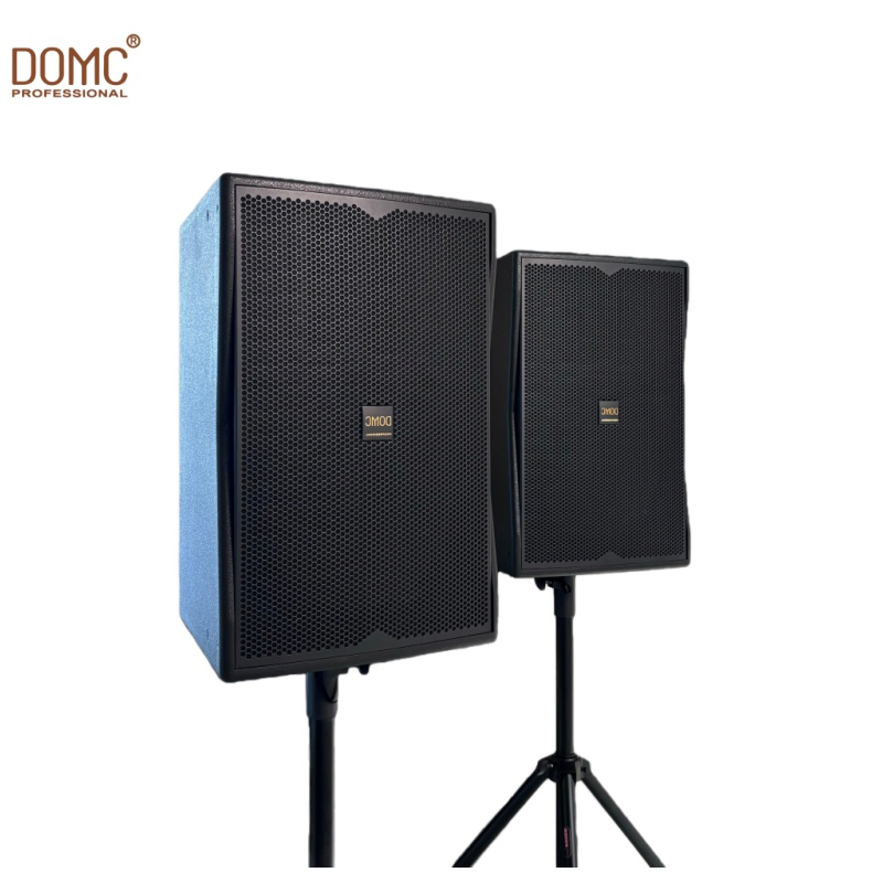 Domc K210 10-Inch Speaker with Wide Frequency Response Range