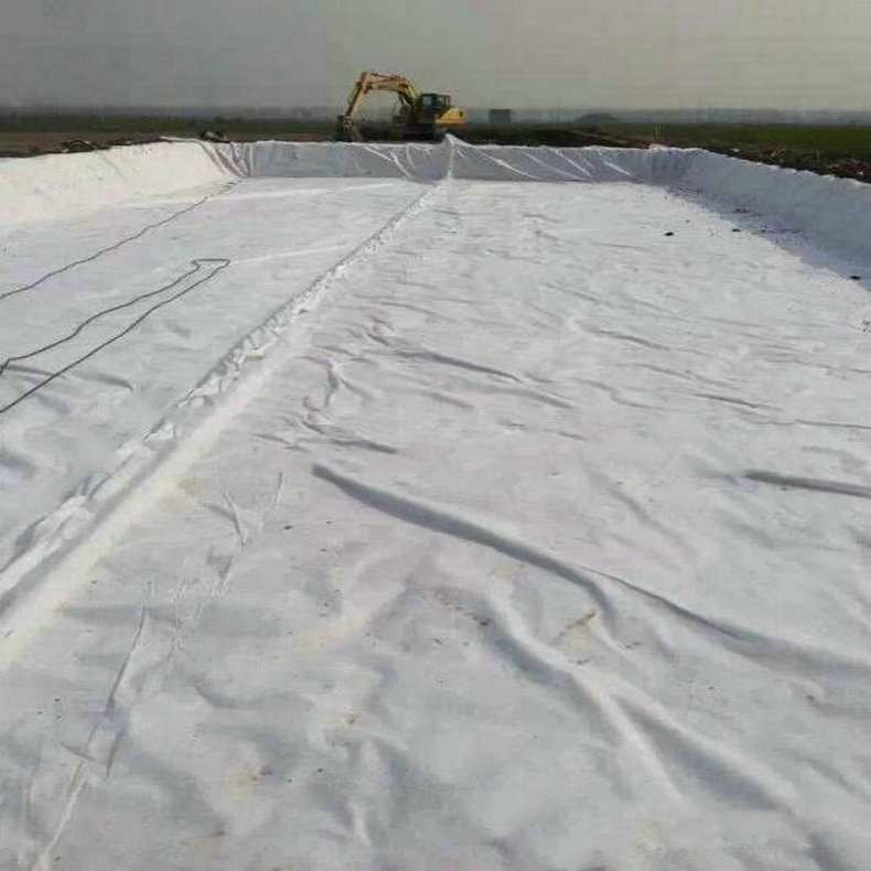 Smooth Finish Geomembrane Liner for Aquaculture Use 1.0mm 1.5mm HDPE Geomembrane Liner Geomembranas for Environmental Projects Waterproof Geomembranes