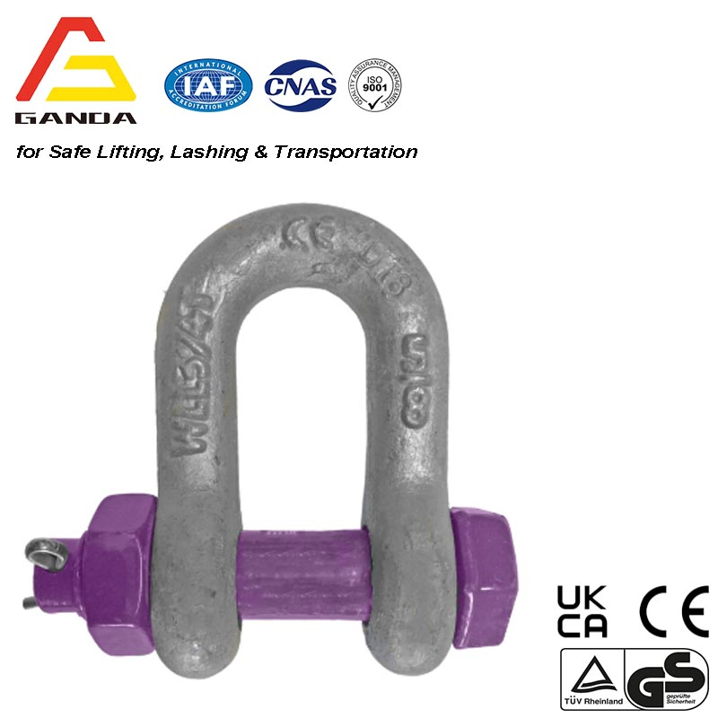 G2150 Safety Bolt Type Chain Forge Shackle Hot DIP Galvanized Sf 6: 1