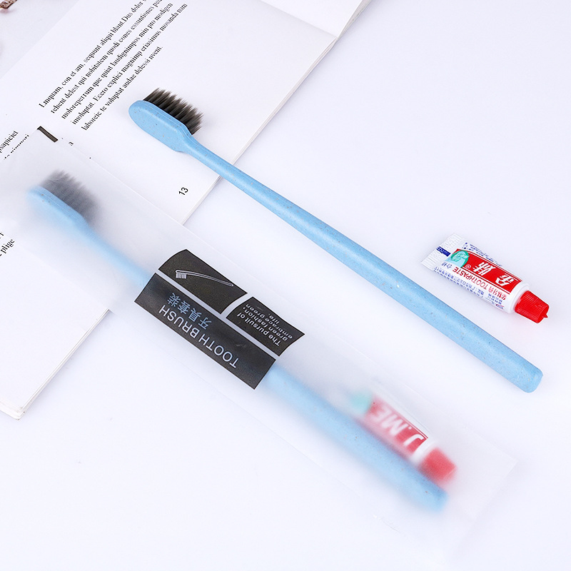 Travel Toothbrush and Mini Toothpaste Set for Hotel Amenities