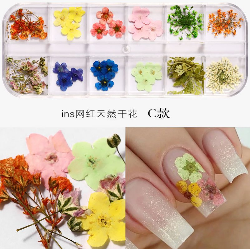 Nail Dried Flowers 12 Color Star Sun Flower Small Daisy Dry Flowers Decoration