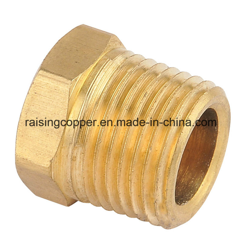 Brass Plug with NPT Thread