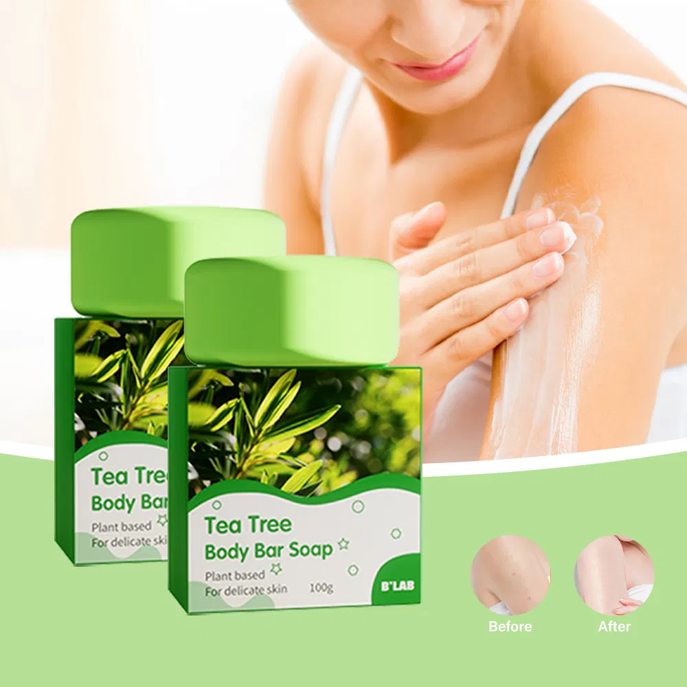 Natural Bar Soap Organic Ingredients Body Soap Bars for Women & Men