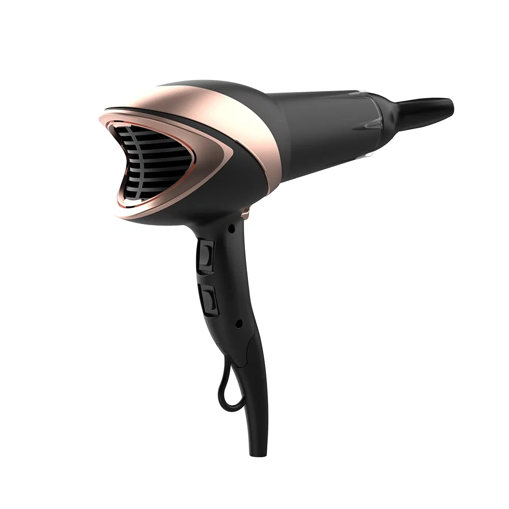 Professional Salon Negative Ion Constant Temperature Hair Dryer Strong 2200W Hot and Cold Wind Home Hair Dryer