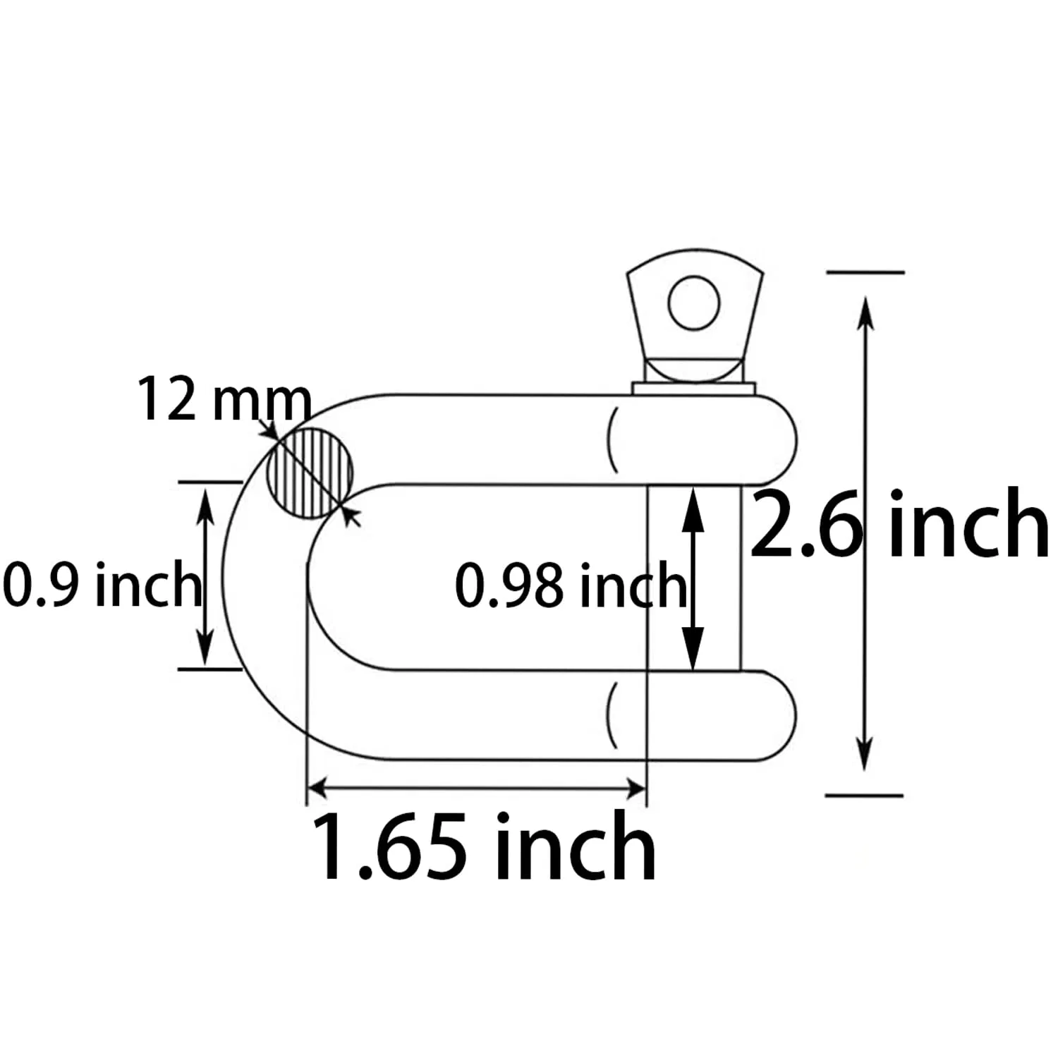 1/2 Inch 12mm Screw Pin Anchor Shackle 304 Stainless Steel D Ring Shackle for Wirerope Lifting Ship Anchor