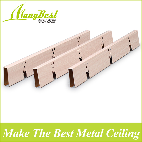 New Metal Grille Ceiling for Interior and Exterior Decoration