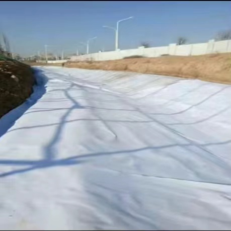 Nonwoven Geotextile PP Polyester Nonwoven Geotextile 200GSM/300GSM/400GSM
