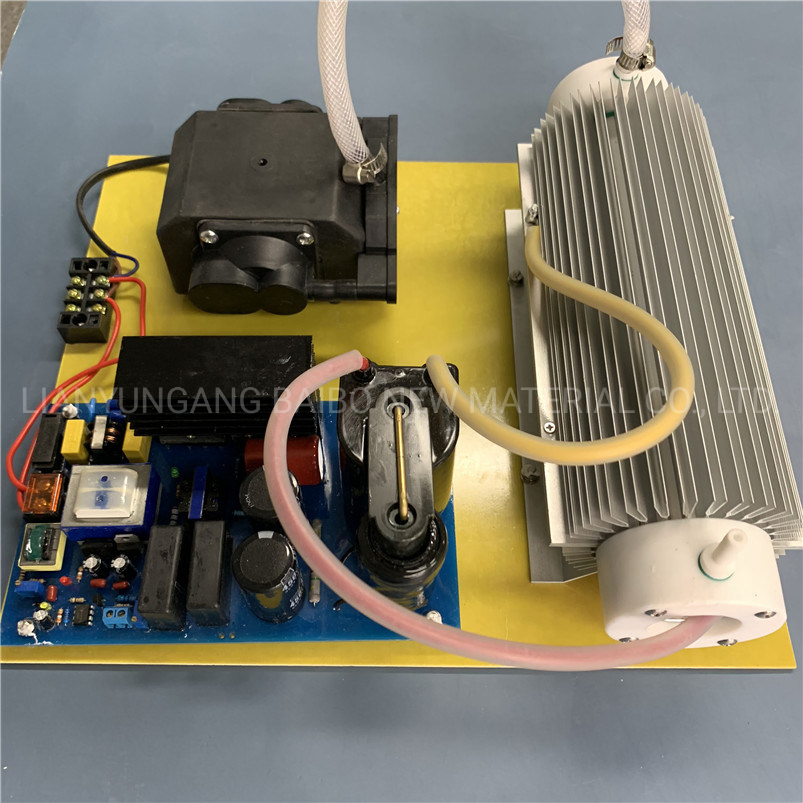 Ozone Module Water Purification Integrated 110V 10g 20g Quartz Ozone Gernerator