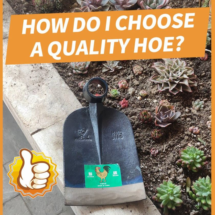 Quality Agricultural Tool Farming Hoe Factory Buy Shovel Garden Hoe