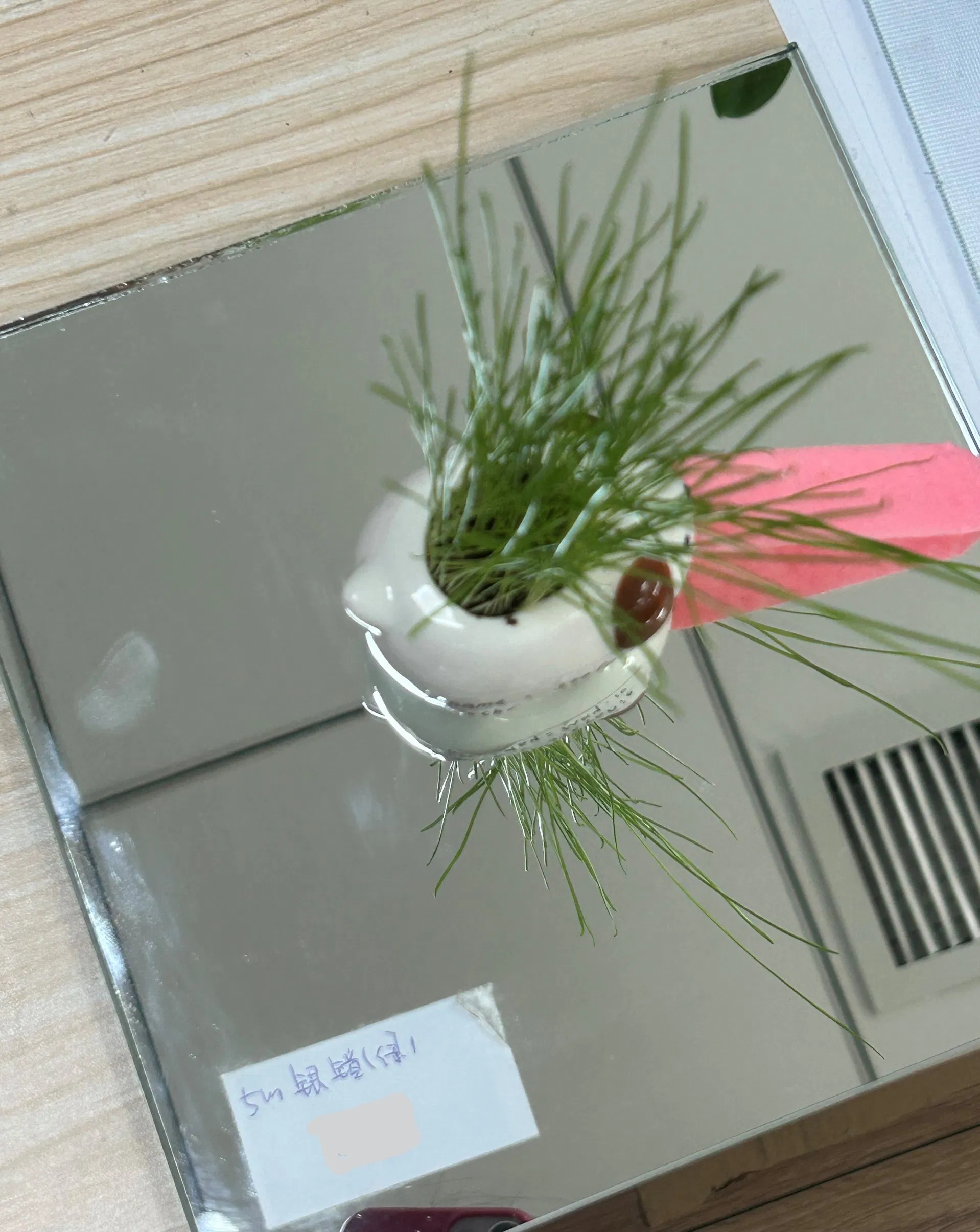 8mm Clear Silver Mirror/Bathroom Mirror/Glass Mirror for Dressing/Decoration