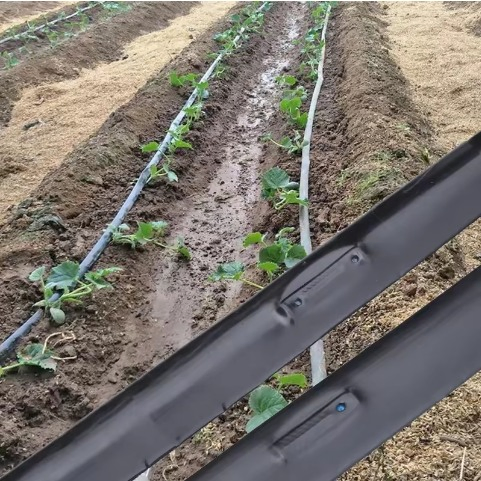 Customized 16mm Adjustable Agriculture Flat Emitter Pipe Farm System Irrigation Drip Tape