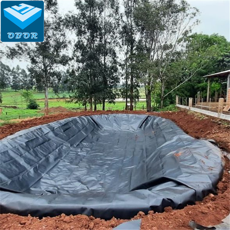 ASTM HDPE Sheet Geomembrane for Prawn Shrimp Farm