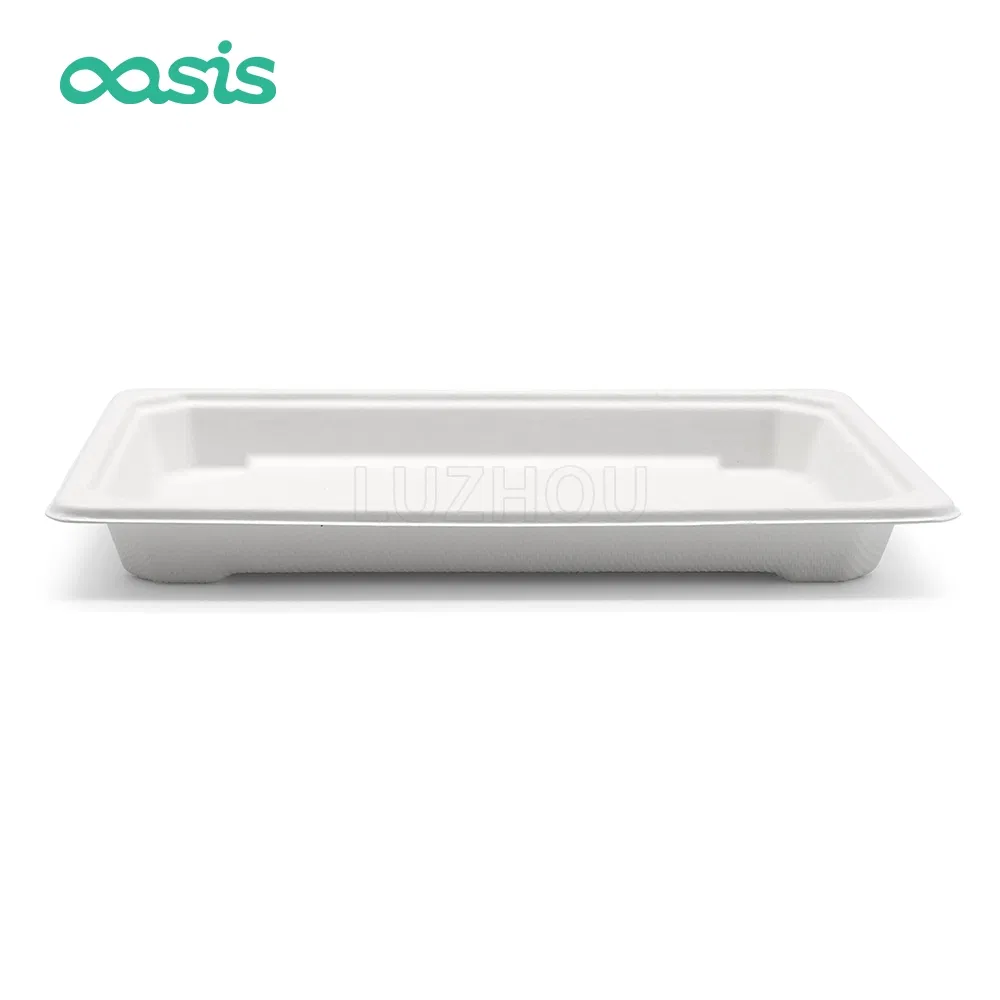 Eco Friendly Sugarcane Bagasse Biodegradable Disposable Paper Sushi Tray for Sushi Packaging