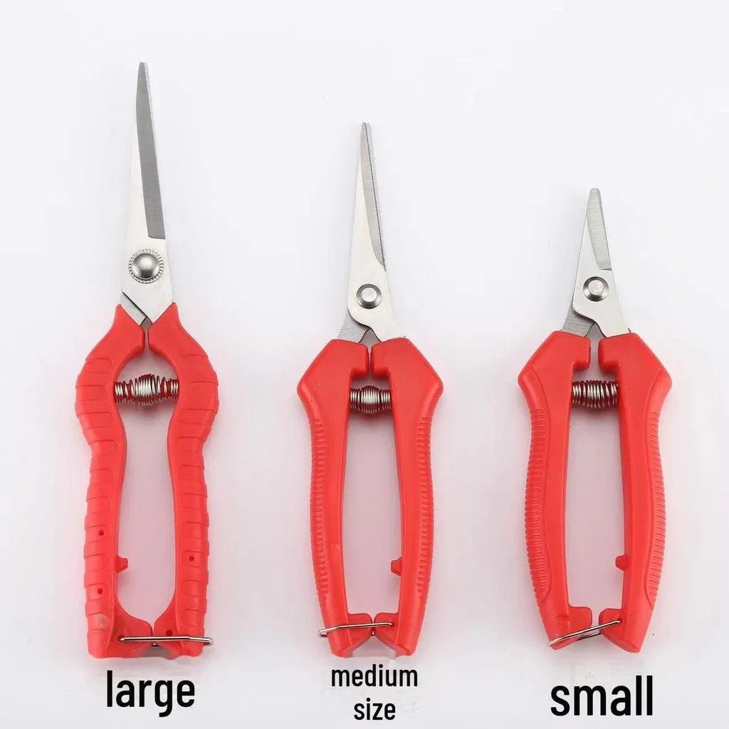 Gardening Shears Fruit Pruning and Thinning Scissors for Orange, Vegetable, and Grape Picking