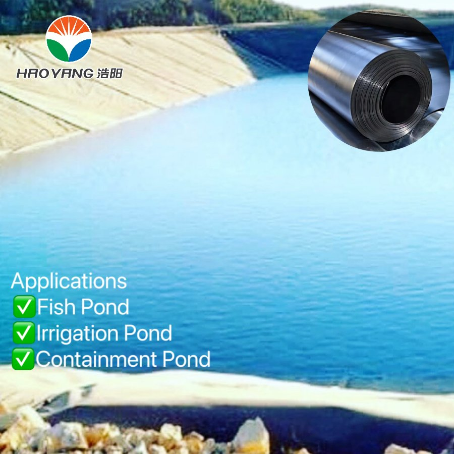Excellent Corrosion-Resistant Material. Geomembrane Made in China, 1.0mm 2.0mm