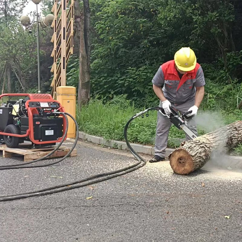 Emergency Rescue Powerful Handheld Hydraulic Log Wood Timber Splitter Chain Saw