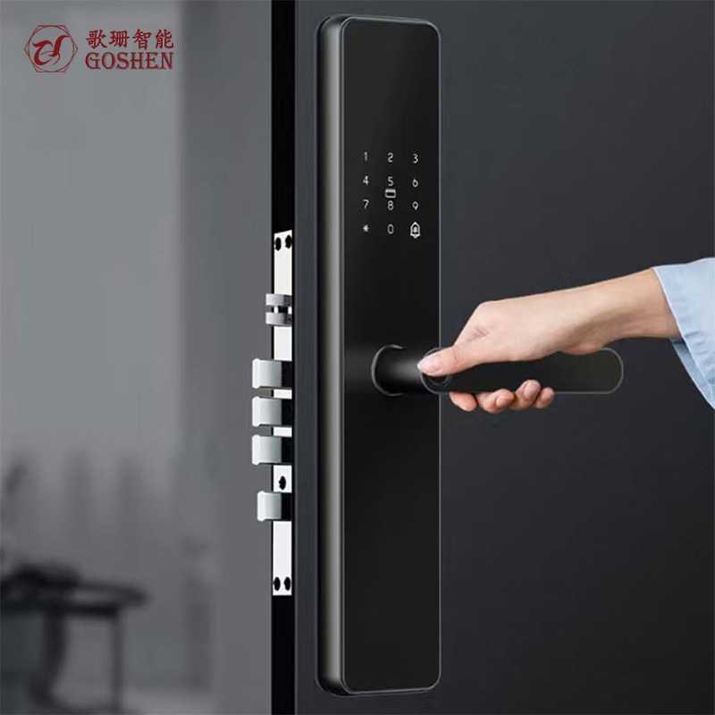 Tuya APP Smart Door Lock Multiple Unlock Options Face Recognition Biometric Fingerprint Cloud Storage Options Matter