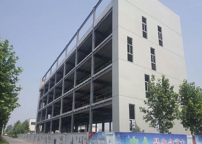 Steel Structure Factory Installation Multi-Story Steel Structure Factory Undertaking Project Warehouse Warehouse Multi-Story Steel Structure Building