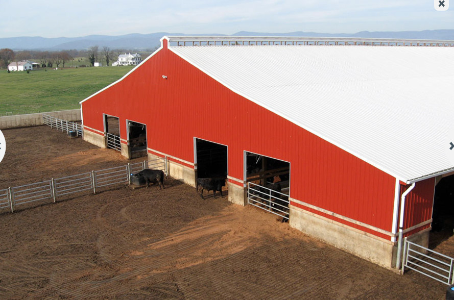 Hot DIP Galvanized Steel Structure Frame Cow Cattle Sheep Warehouse Farm Shed