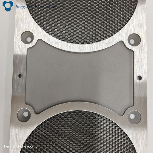 3.2mm High Temp Brazing Double Windows EMI Shielded Steel Honeycomb Ventilation Panels