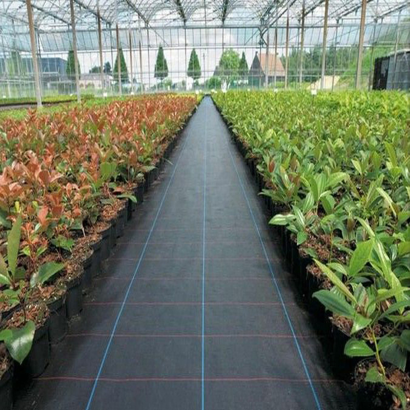 Agricultural PE/PP Non Woven Fabric Anti Grass Film Weed Control Mat Weed Cloth