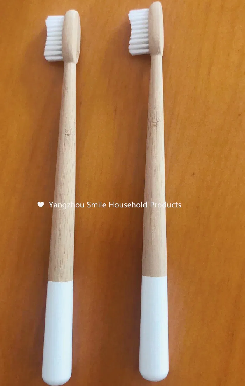 2020 New Label Service BSCI Family Bamboo Toothbrush with Painting