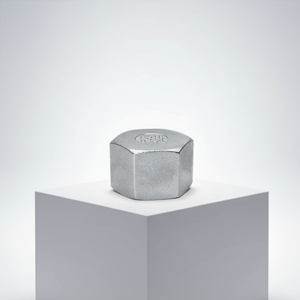 Stainless Steel Industrial Thread Hex Cap