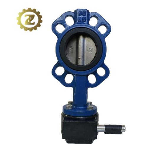 Worm Gear Operated Ductile Iron Body CF8 Disc Wafer Butterfly Valve
