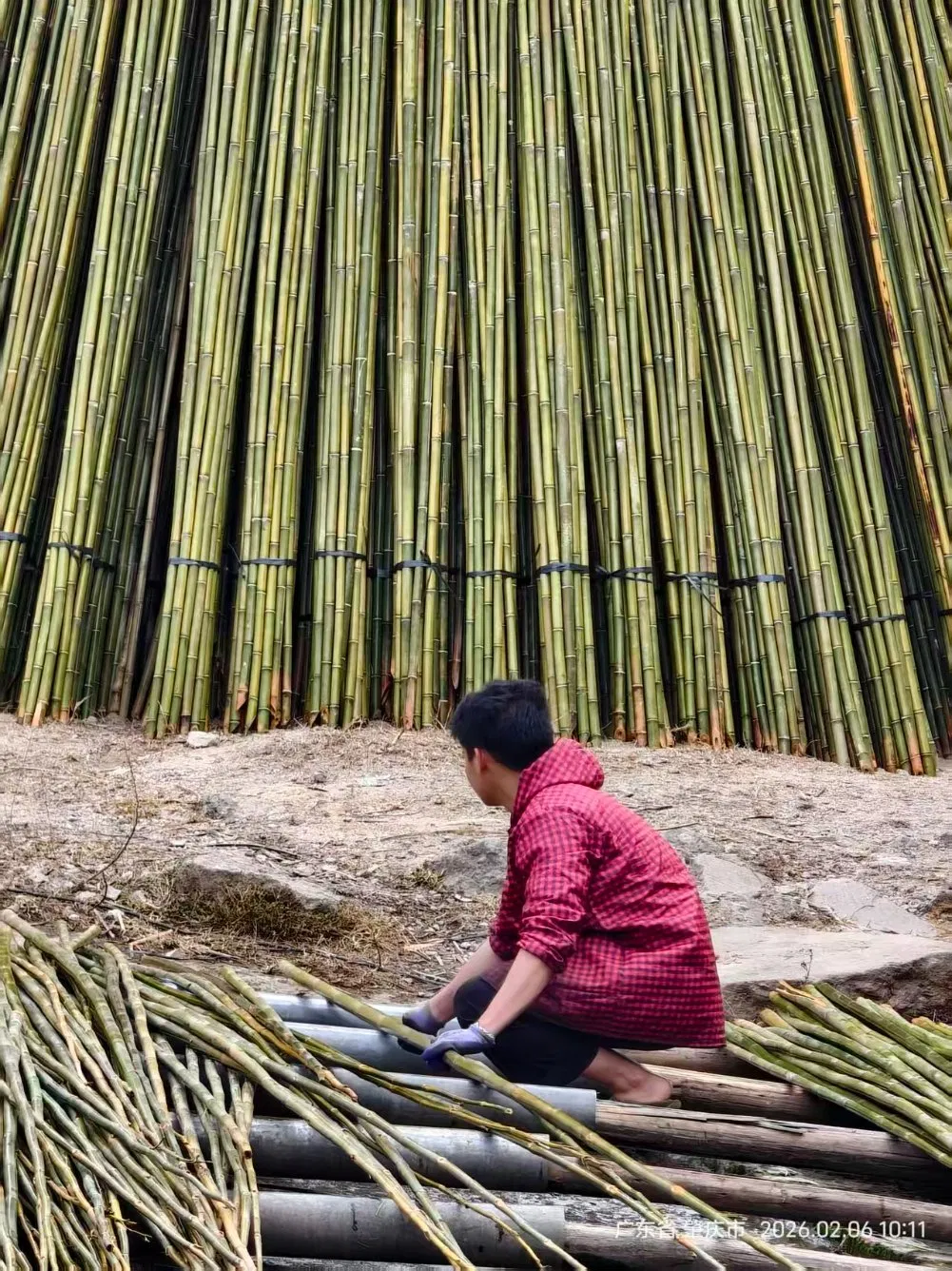 BBQ Bamboo Stick Flower Stick