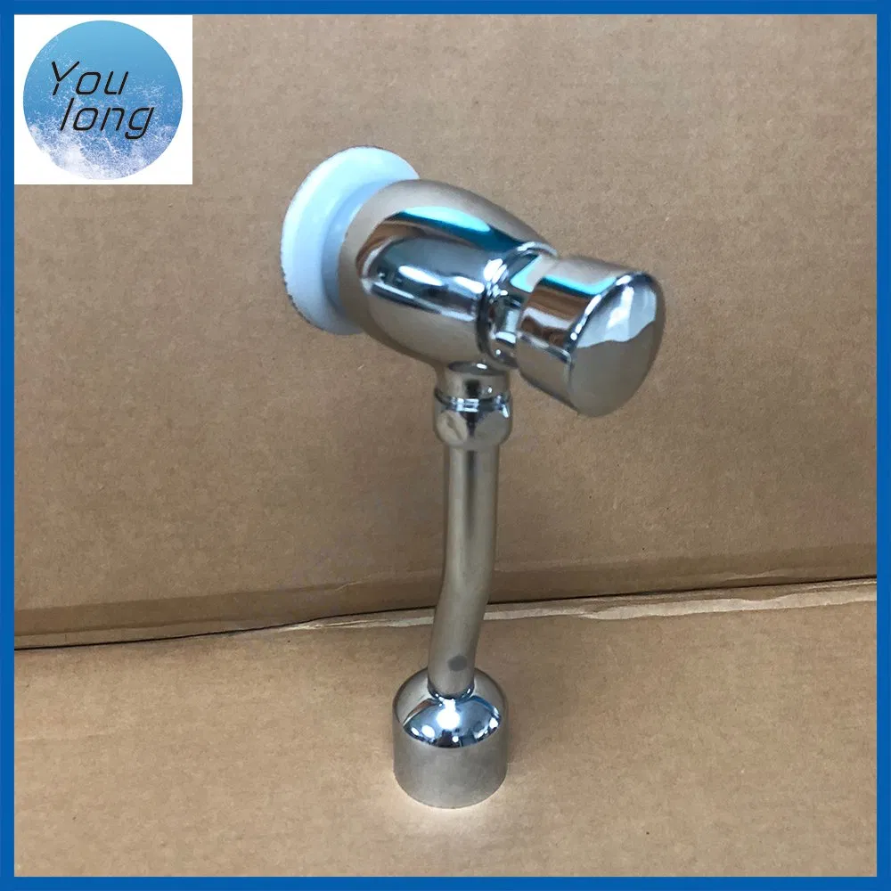 Hot Selling Manual Toilet Flush Valve, High Quality Toilet Flushometer Flush Valve
