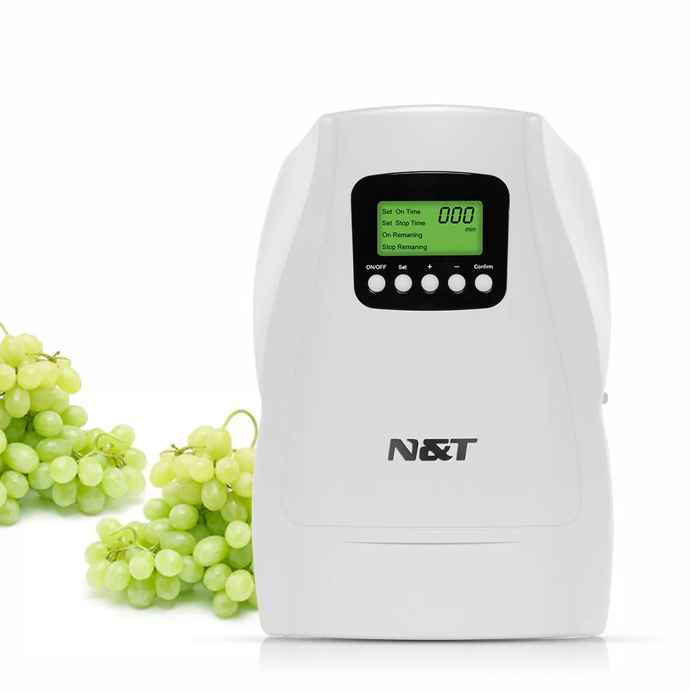 12V Ozone Machine for Fruits and Vegetables Family Use