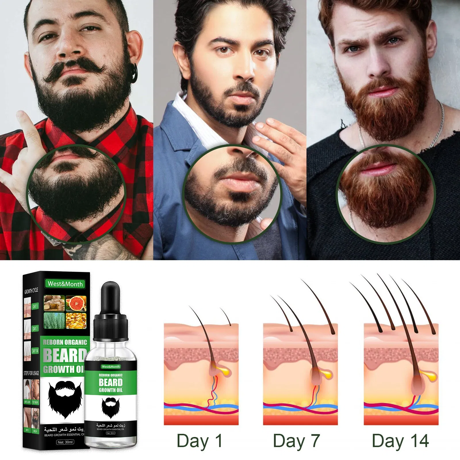 Professional Manufacturing Organic Beard Growth Oil Beard Reborn Growth Essential Beard Oil for Men Hair Styling