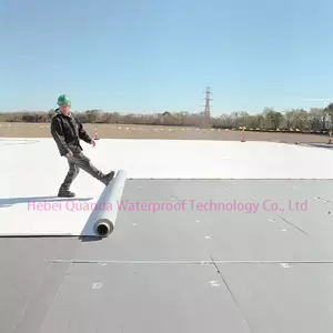 PVC Reinforced Roof Membrane Waterproofing Materials