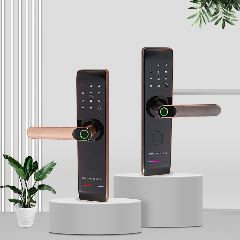 Smart Lock with Advanced Security Features for Peace of Mind