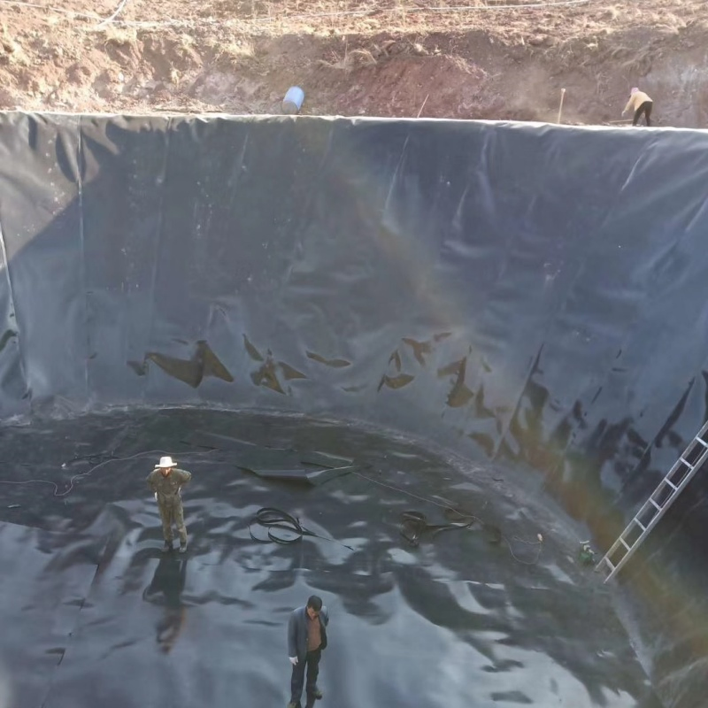 All-Season Geomembrane Fish Pond Liner for Year-Round Fish Care Fish Hatchery Ponds, Lake Bottom Lining and Water Containment