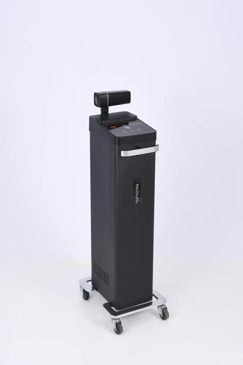 Hair Salon Steamer Nano Micro Mist Machine with Portable Sprayer and Steamer for Hair Cold/Hot Oil Treatment