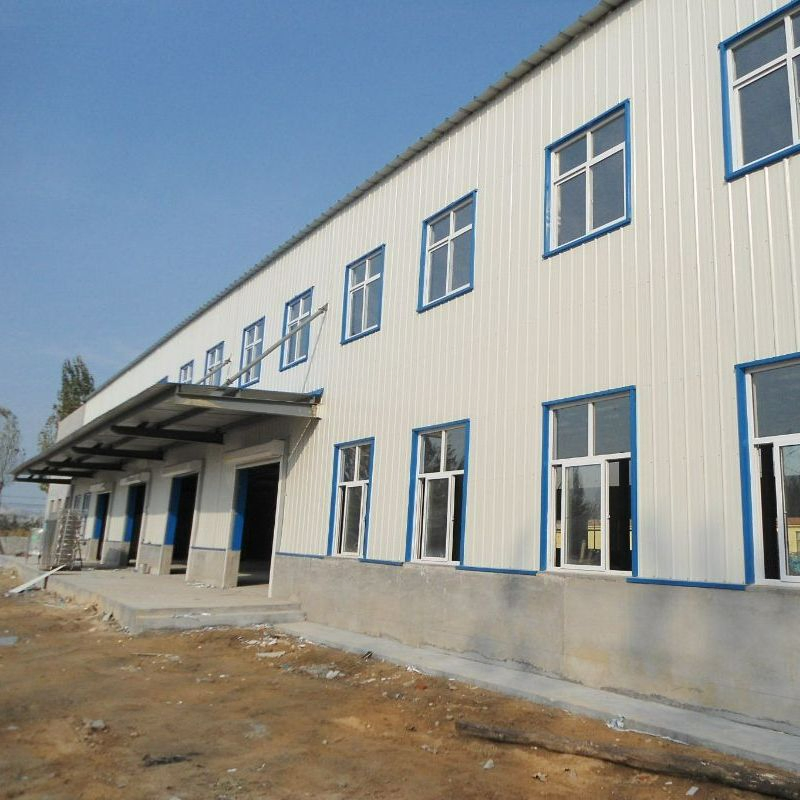 Low Cost Prefabricated Steel Structure Carport/Garage