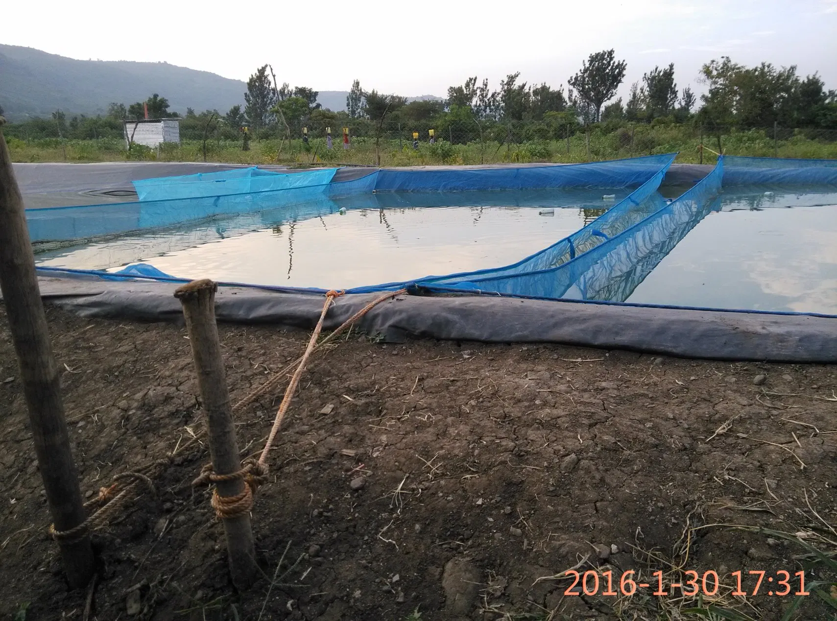 HDPE Geomembrane, Waterproofing Geomembrane for Fish Farm