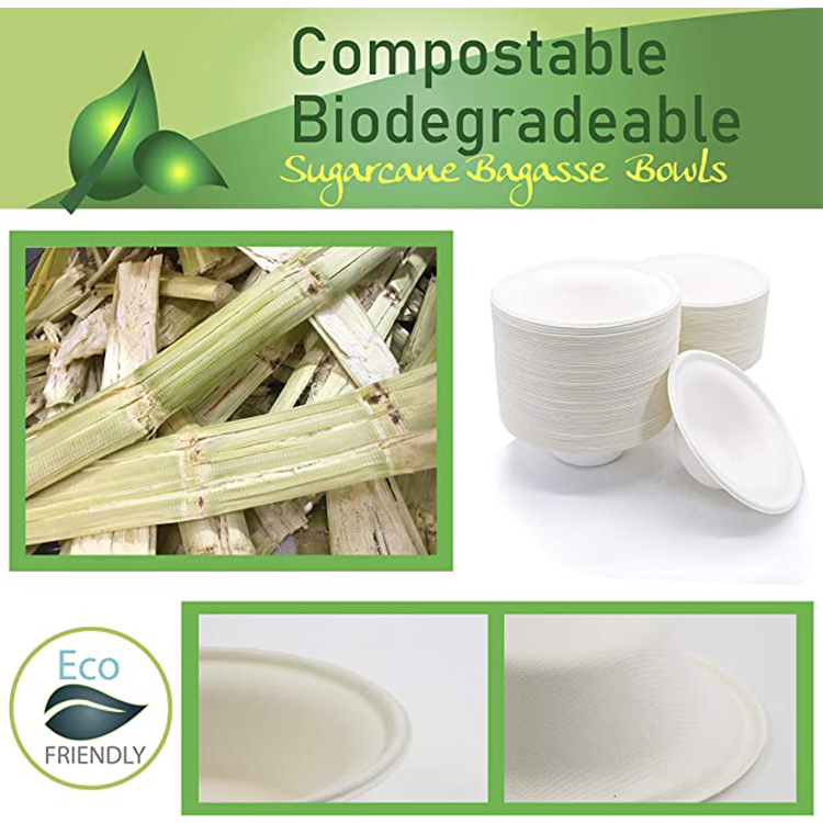 Eco-Friendly Disposable Paper Bowls for Parties and Events
