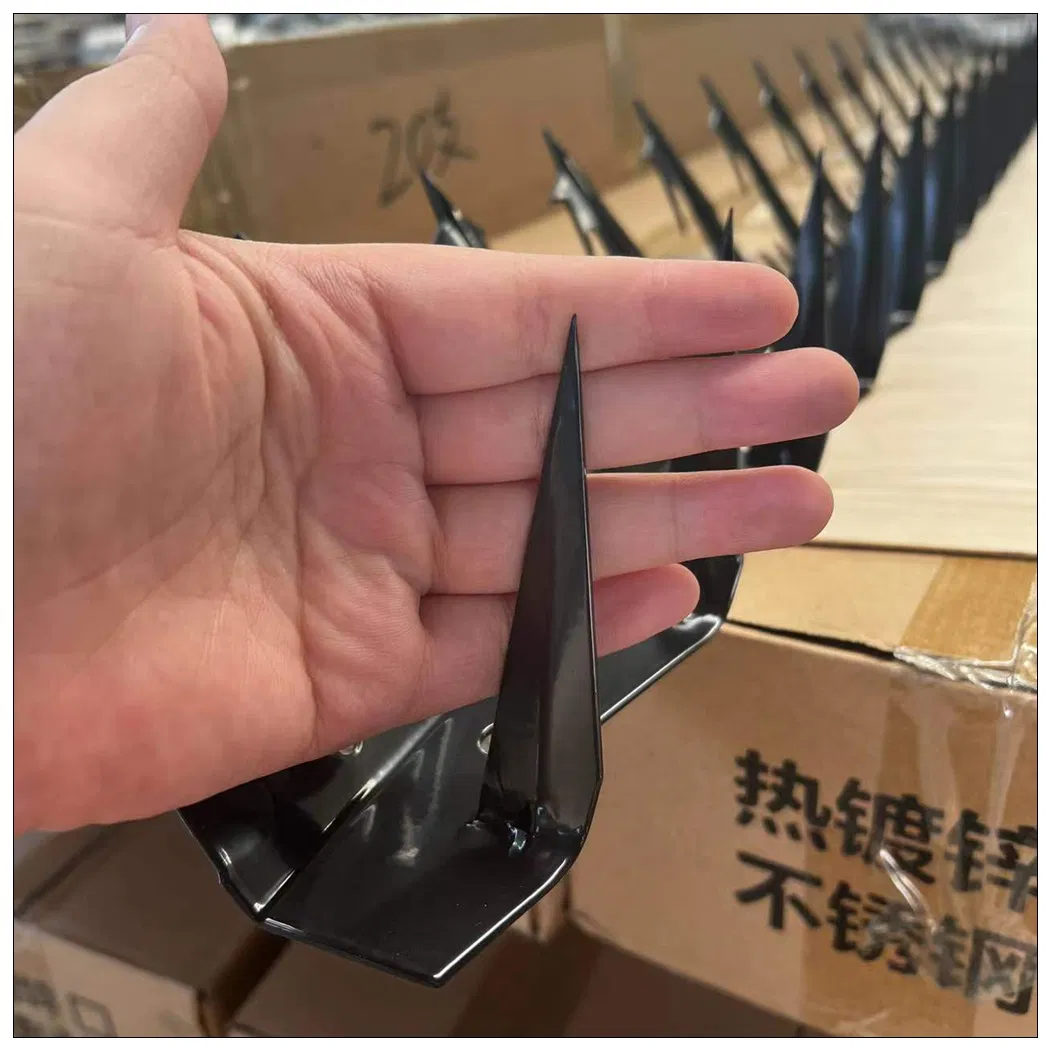 Hot Dipped Galvanized PVC Coating Wall Spikes